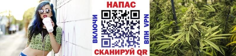 Купить наркотики сайты Буйнакск A PVP Мефедрон Гашиш LSD-25 Кокаин