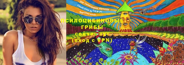 spice Бронницы