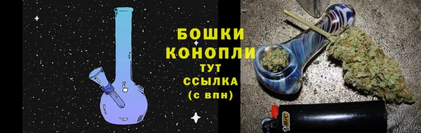 мяу мяу мука Бородино