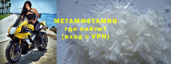 сатива Магадан
