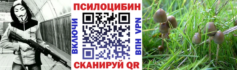 цена наркотик  ОМГ ОМГ маркетплейс  Псилоцибиновые грибы мухоморы  Буйнакск 