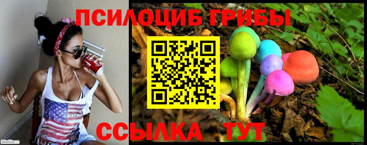 Псилоцибиновые грибы Psilocybe  Псилоцибиновые грибы Magic Shrooms  хочу   Буйнакск  Вход с VPN 