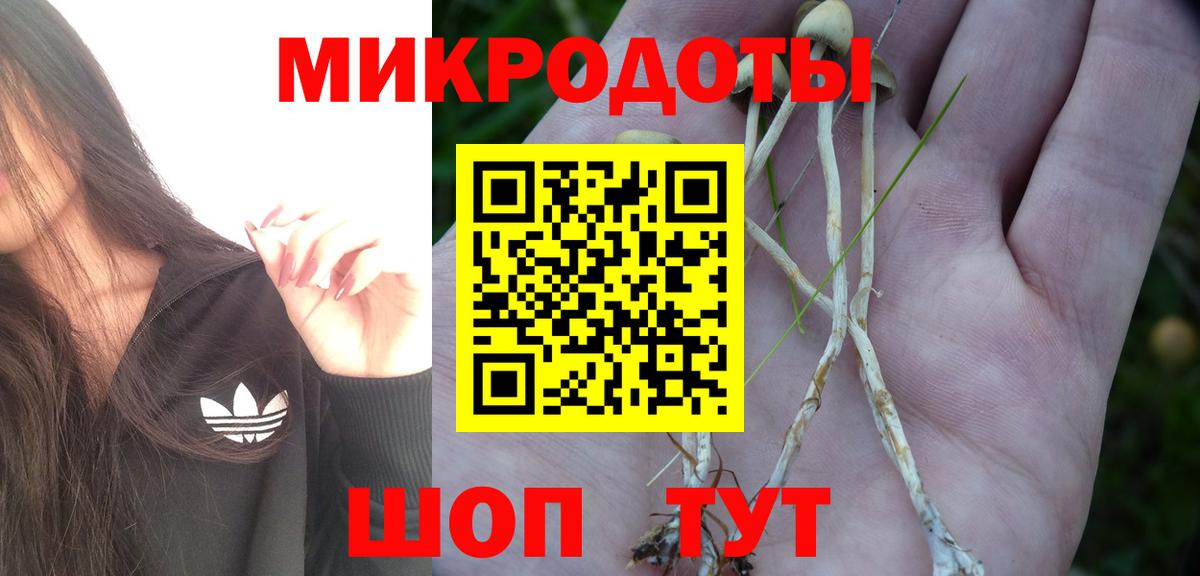 Псилоцибиновые грибы ЛСД Буйнакск